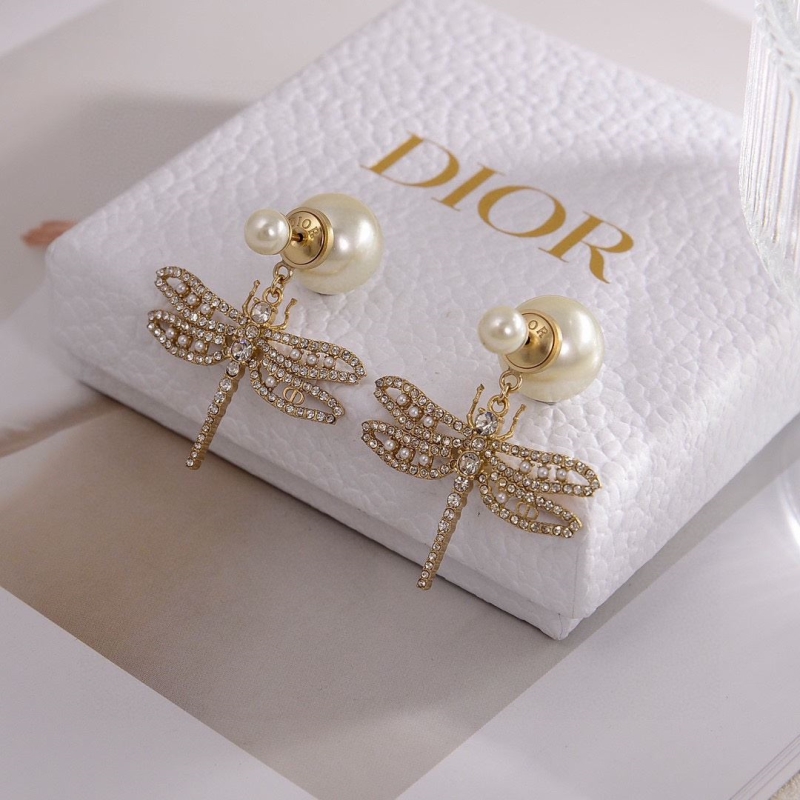 Christian Dior Earrings